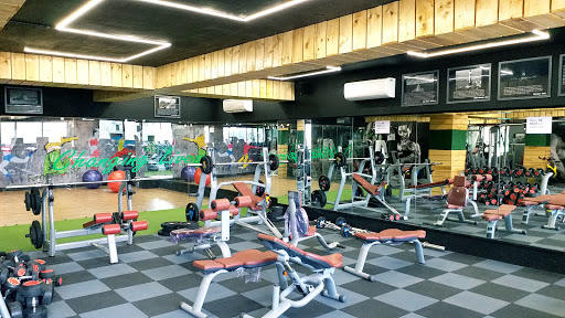 SFW The GYM Active Life | Gym and Fitness Centre
