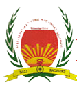 Shaheed Manveer National School - Logo
