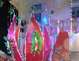 Shahnai Marriage Hall|Banquet Halls|Event Services