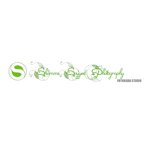 Shammi Sayyed Photography|Photographer|Event Services