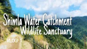 shimla water catchment wildlife sanctuary - Logo