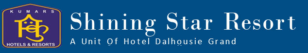 Shining Star - Logo