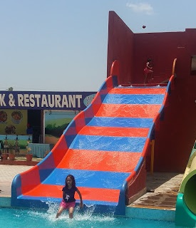 Shree Fun Water Park - Logo