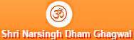 Shree Narsingh Dev Accidental Hospital - Logo