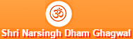 Shree Narsingh Dev Accidental Hospital Logo