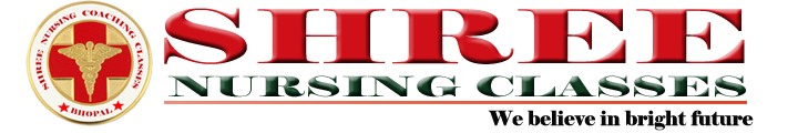 Shree Nursing Academy Logo
