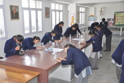 Shree Sanatan Dharm Education Centre Education | Schools