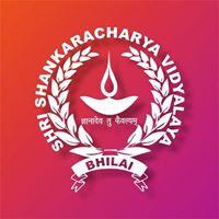 Shri Shankaracharya Vidyalaya|Schools|Education