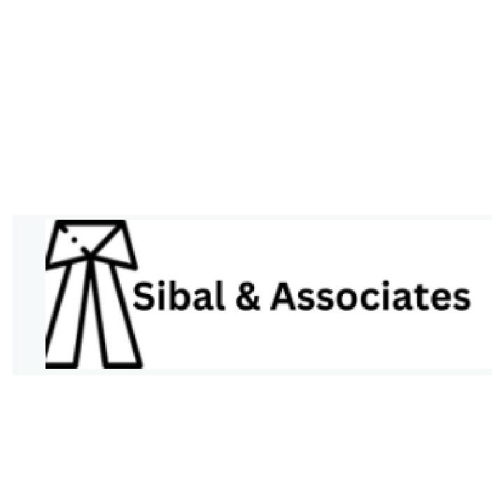 Sibal and Associates|IT Services|Professional Services