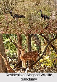 Singhori Wildlife Sanctuary Travel | Zoo and Wildlife Sanctuary 