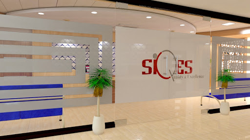 SIQES Professional Services | IT Services