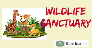 Sita Mata Wildlife Sanctuary - Logo
