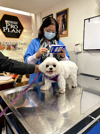 SJS Pet Care and Clinic Medical Services | Clinics