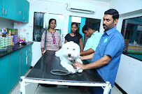 SKS Veterinary Hospital Medical Services | Veterinary