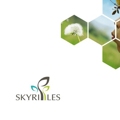 Skyripples Architecture Studio Logo