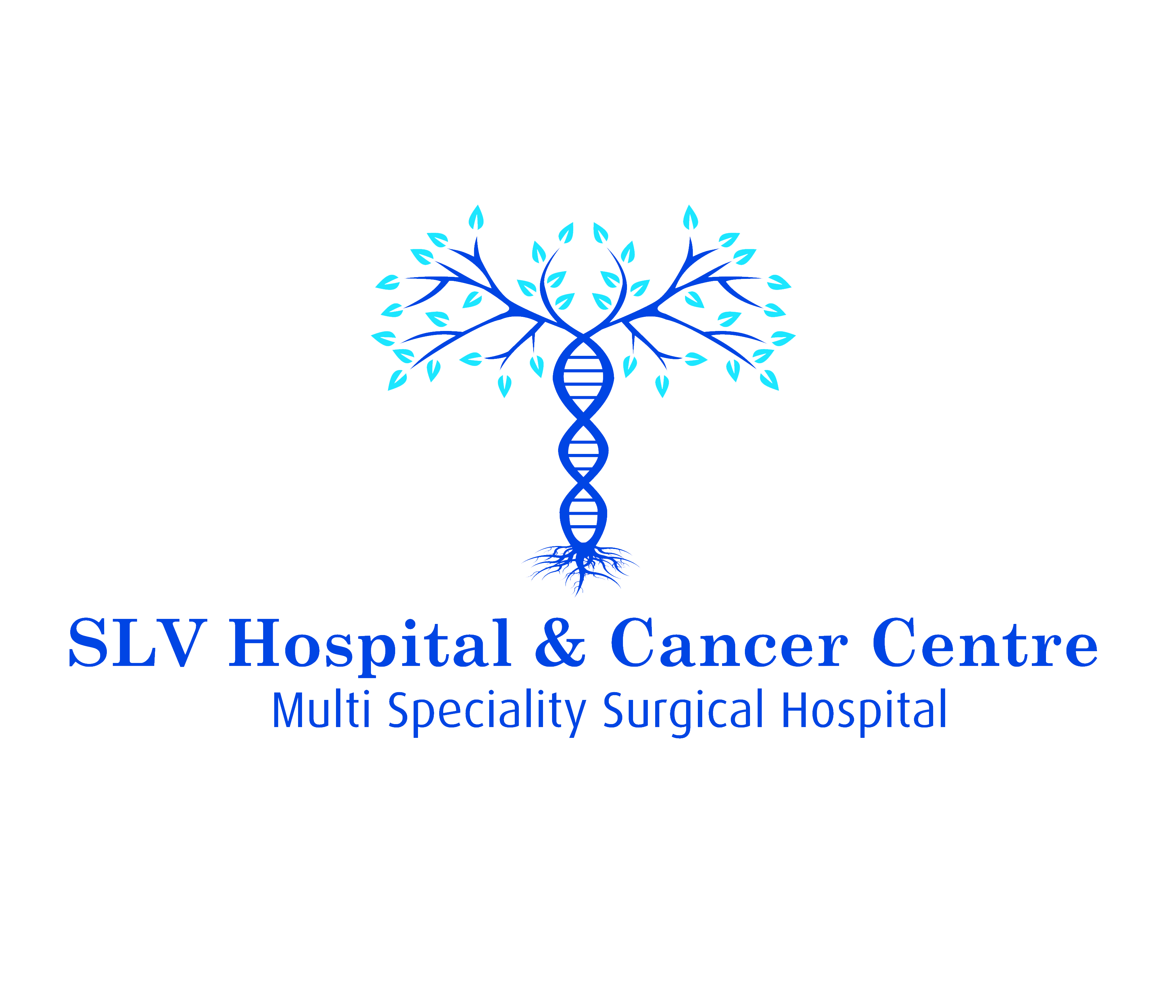 SLV Hospital & Cancer Centre|Hospitals|Medical Services