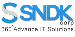 SNDK CORP|IT Services|Professional Services