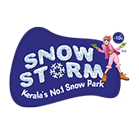 Snow Storm - Logo