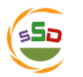 Soft Software Development - Logo