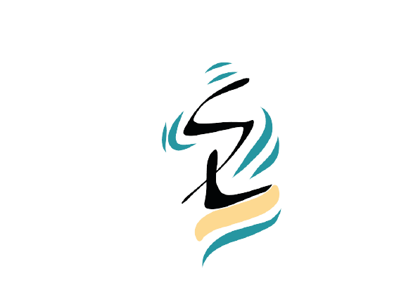 Solutions Lane - Reputed Web Development Company|Accounting Services|Professional Services