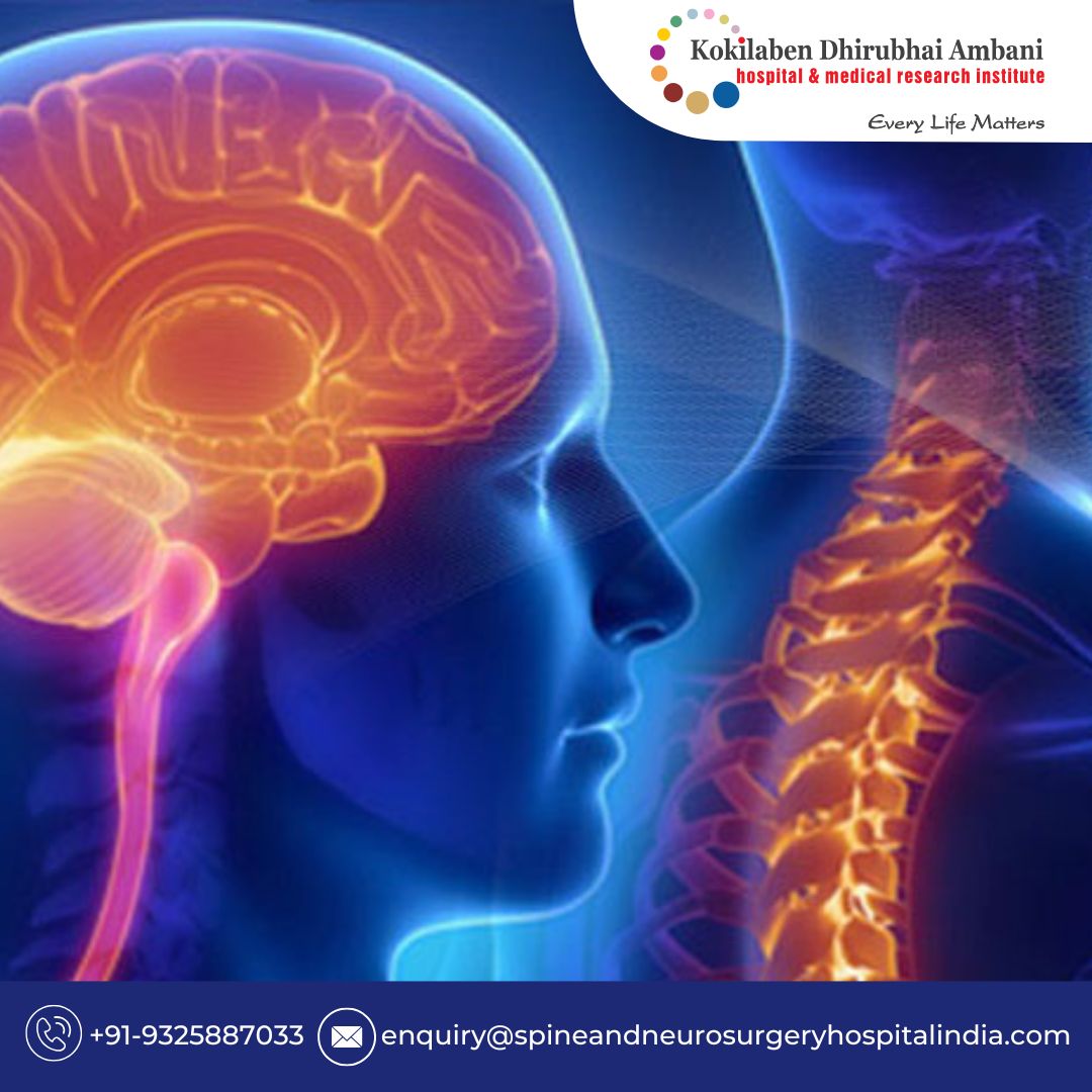 Spine Neuro Surgery Cost Kokilaben Hospital|Veterinary|Medical Services