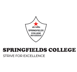 Springfields College|Schools|Education