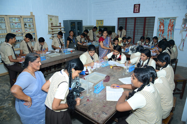 Sree Narayana Public School Education | Schools