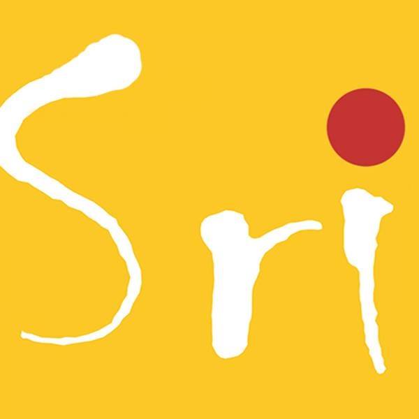 SRI ARCHITECTS & INTERIORS|IT Services|Professional Services