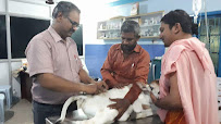Sri Hanuman Pet Speciality Hospital Medical Services | Veterinary