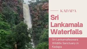 Sri Lankamalleswara Wildlife Sanctuary Logo