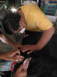 Sri Sai Animal Speciality Clinic Medical Services | Veterinary