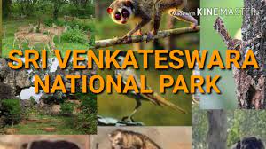 Sri Venkateswara National Park - Logo