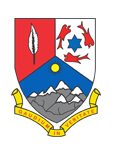 St. Lukes Senior Secondary School - Logo