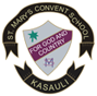 St. Mary's Convent School|Colleges|Education