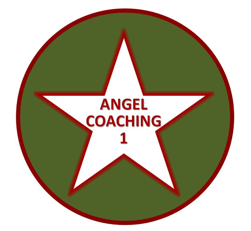 Star Angel Coaching|Education Consultants|Education