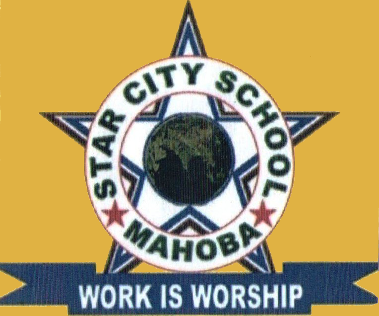 Star City School - Logo