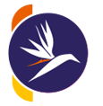 Stay Bird Logo