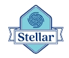 Stellarworld International School - Andheri|Schools|Education