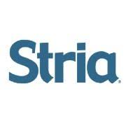 STRIa aRCHITECTS|IT Services|Professional Services