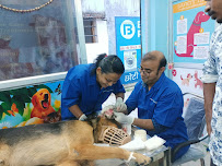 Subhi Dog and pet clinic Medical Services | Veterinary