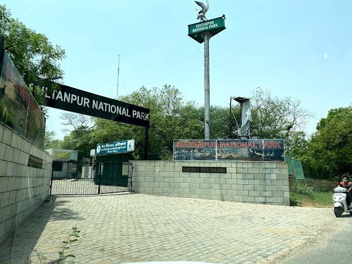 Sultanpur National Park Travel | Zoo and Wildlife Sanctuary 