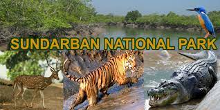 Sundarbans National Park Logo