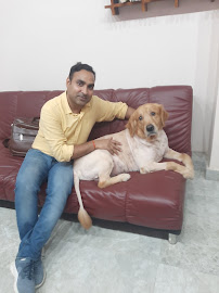 Supervet Pet Clinic Lucknow - Veterinary in Lucknow | Joon Square