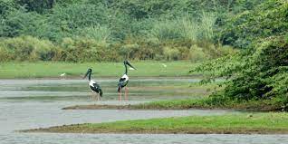 Sur Sarovar Sanctuary Travel | Zoo and Wildlife Sanctuary 