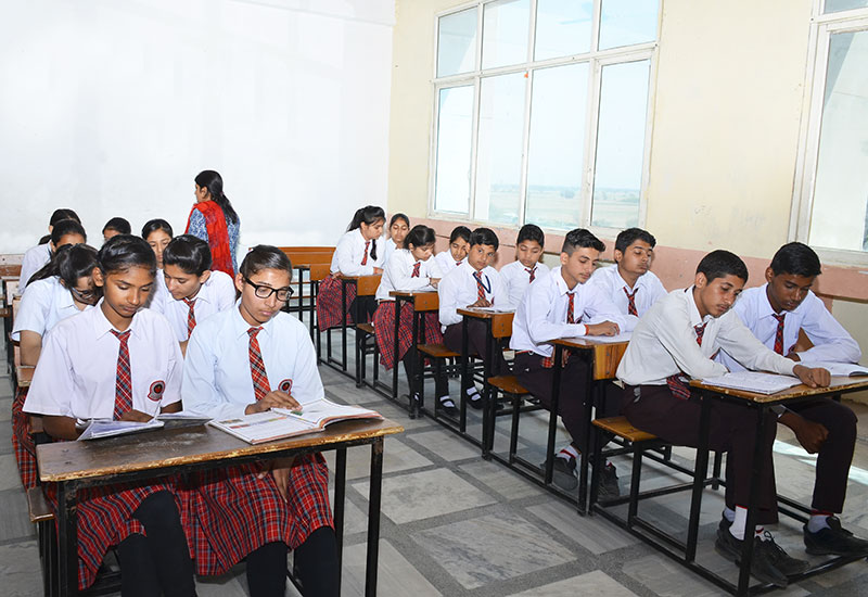 Swami Nitanand Public School Rohtak Schools 005