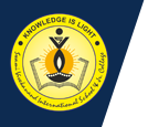 Swami Vivekanand International School Logo