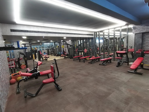 Sweat Gym & Fitness Active Life | Gym and Fitness Centre