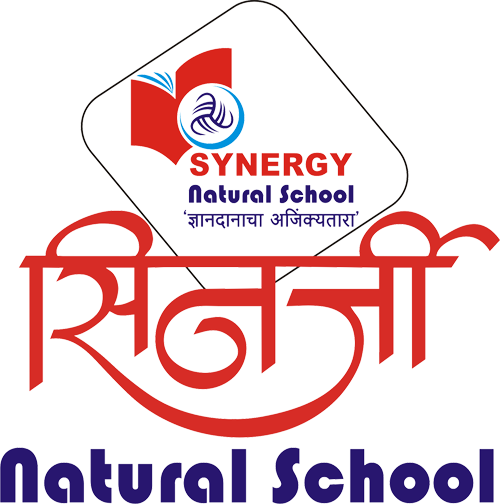 Synergy Natural School - Logo