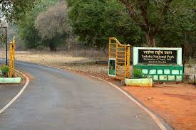 Tadoba National Park Travel | Zoo and Wildlife Sanctuary 