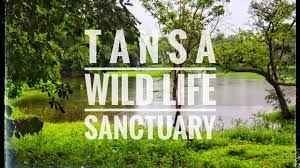 Tansa Wildlife Sanctuary - Logo